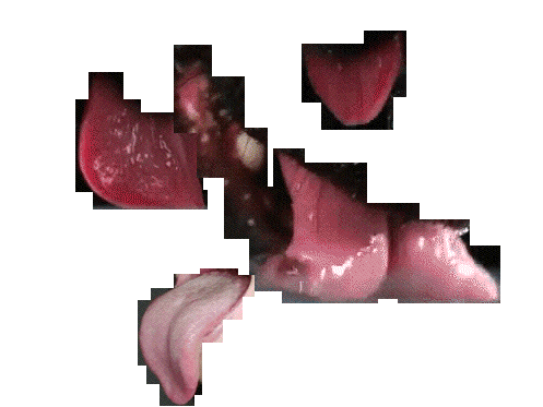 Uh Oh Stinky GIF - UhOh Stinky Monkey - Discover & Share GIFs