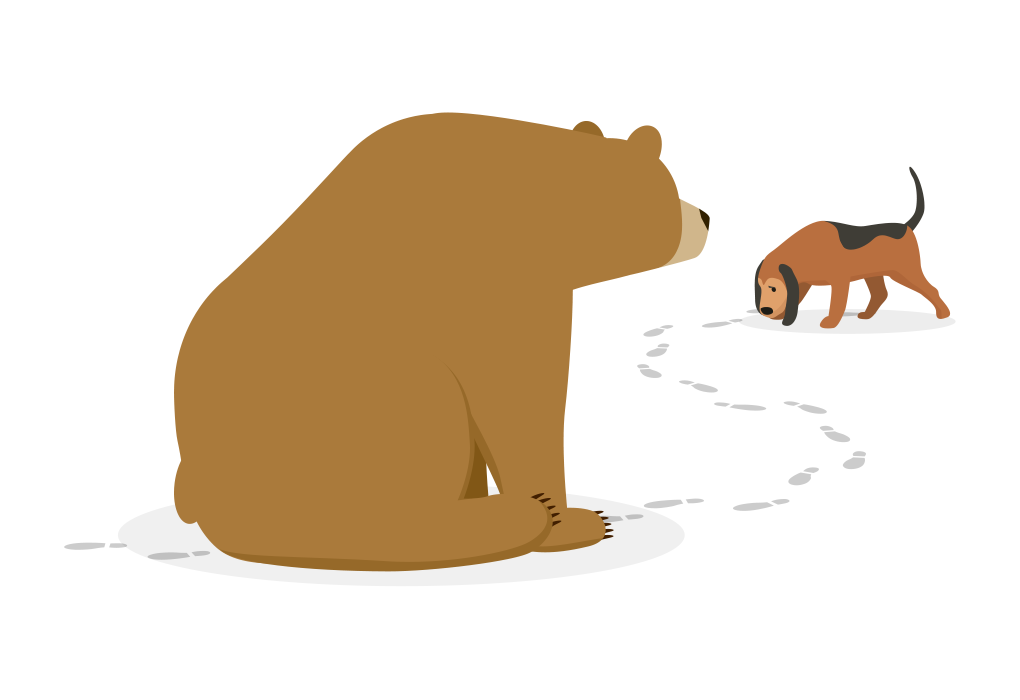 Bear Throwing Dog's off the User's Trail