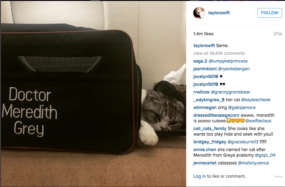 Taylor Swift's cat sleeps on a private jet