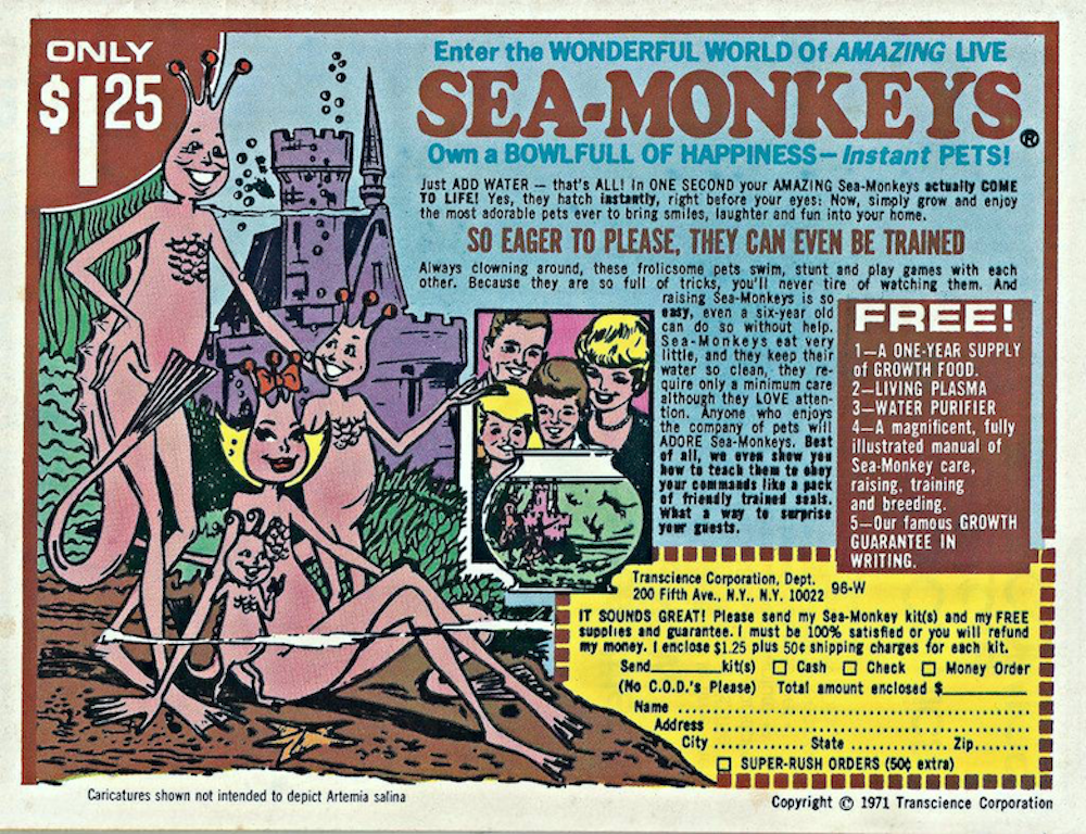 Sea Monkeys