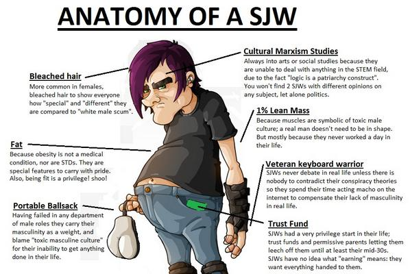 anatomy of a social justice warrior meme