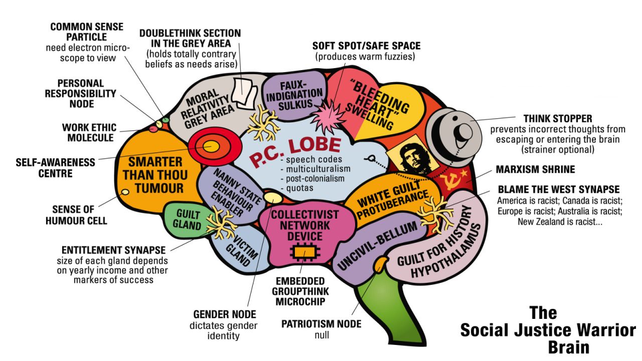 social justice warrior brain