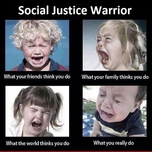 social justice warrior meme