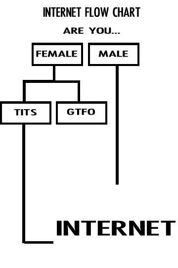 The expression Tits or GTFO (Get the Fuck Out) likely originated on 4chan in the mid-2000s and became common in a range of imageboards, game communities, and BBS sites as a challenge to the genuineness of female participants in those spaces.