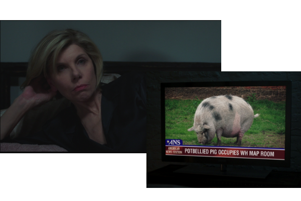 Diane Lockhart watches TV in her room screenshot