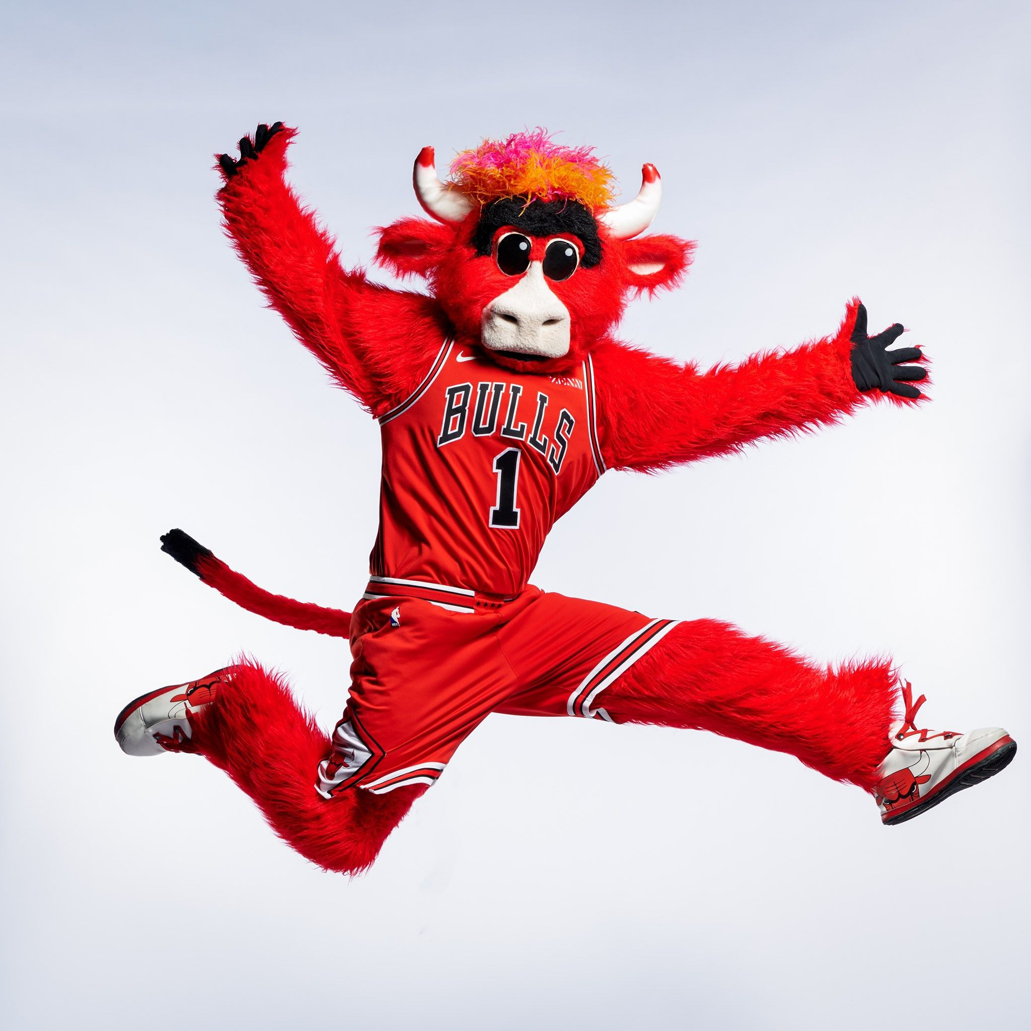 The Chicago Bull's Mascot: Benny