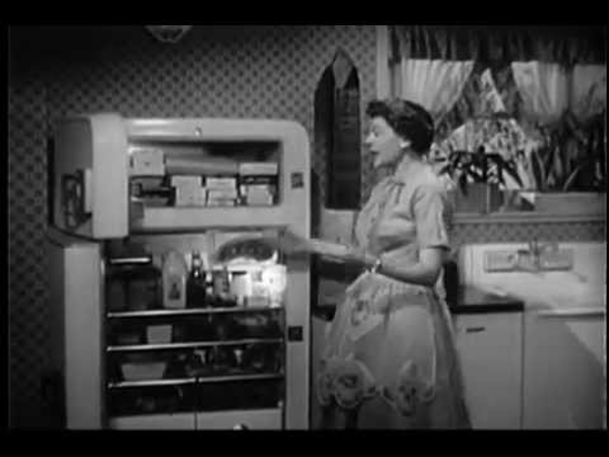 Harriet Nelson stands in front of her refrigerator with the doors open.