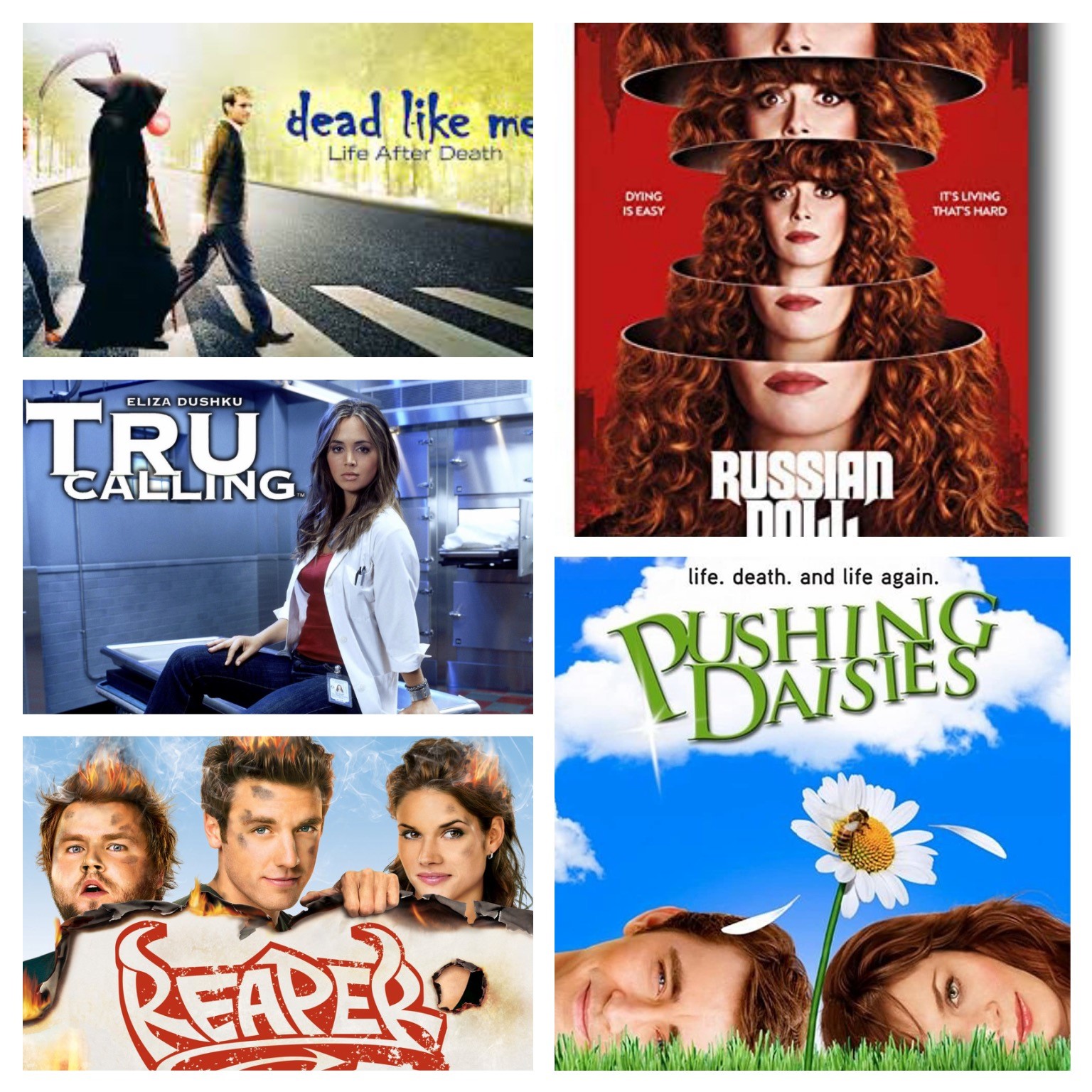 A montage of five television show posters.