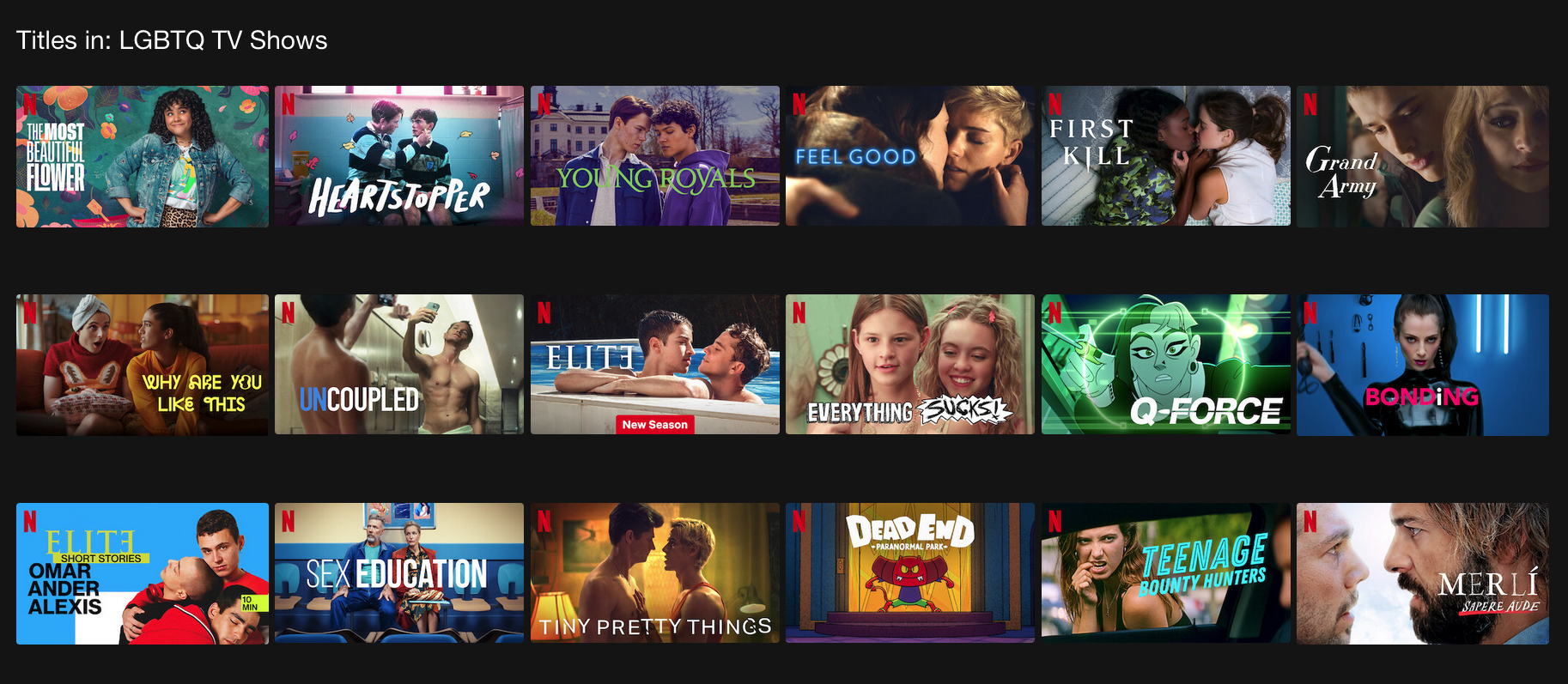 Screengrab of Netflix Canada’s LGBTQ TV category