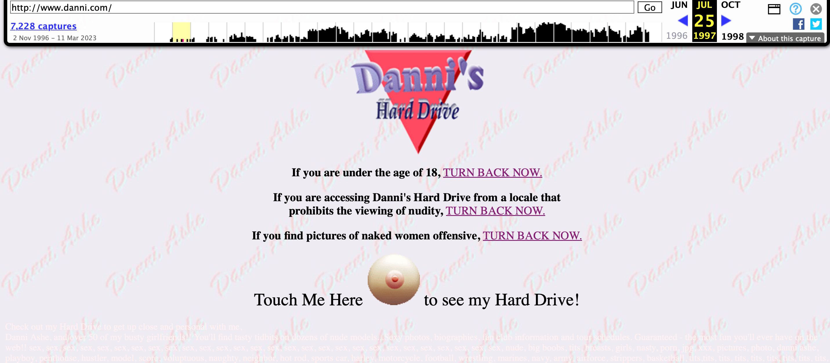 A disclaimer page for Danni's Hard Drive displaying a warning for explicit material proceeding.