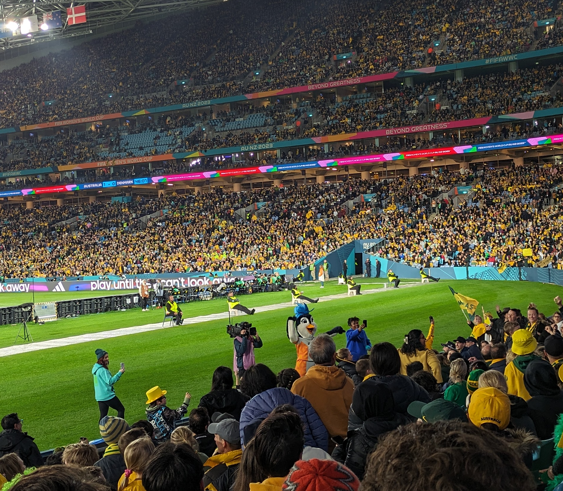 Australian soccer fans cheer in a stadium