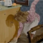 spilledjuicebewitched