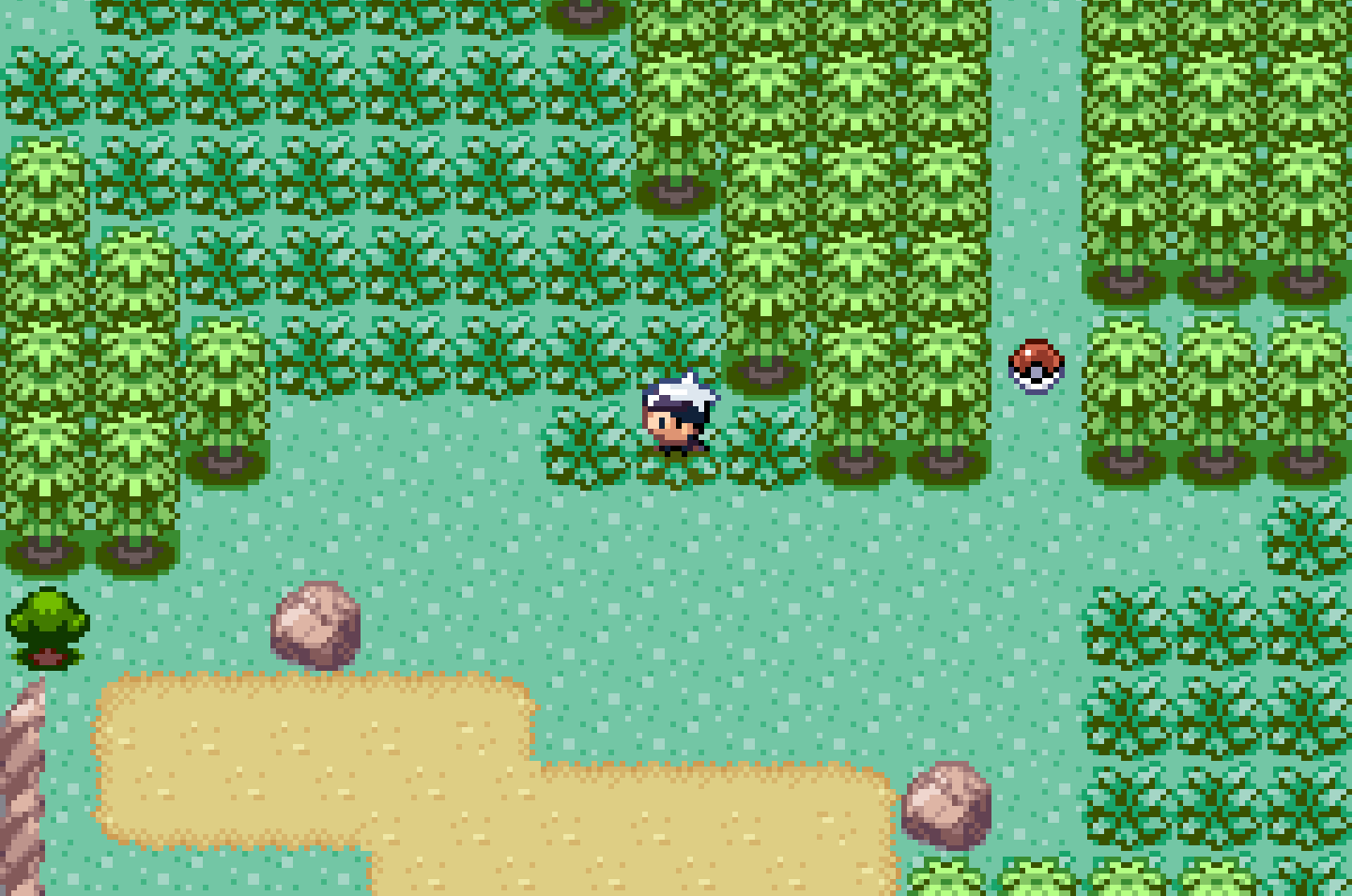 screenshot of a Pokemon game, a trainer is standing in tall grass